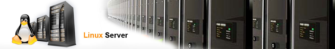linux hosting server