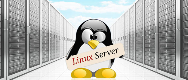 Linux Server
